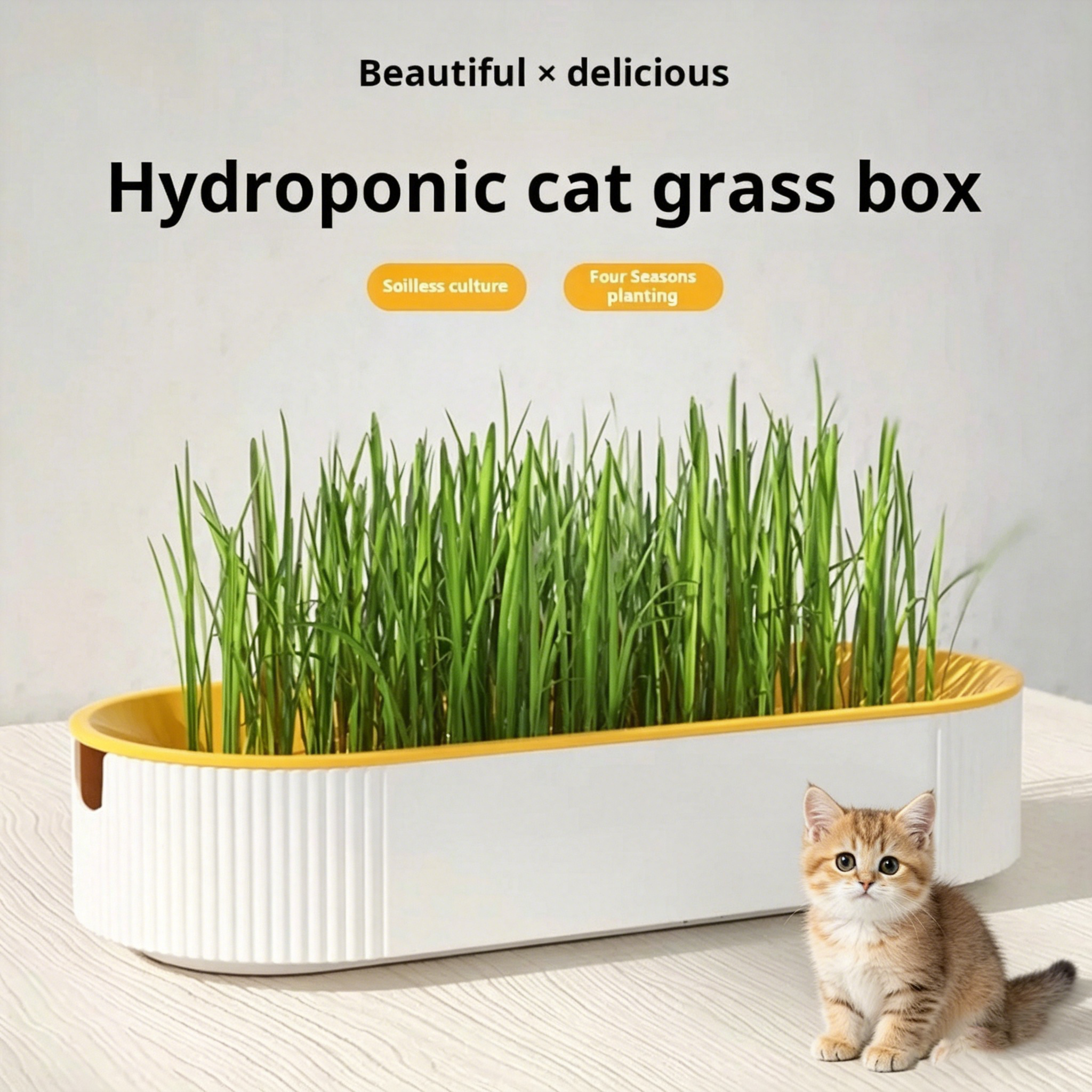 Hydroponic Grow Pod - Easy Growth Hydroponic Cat Grass Box