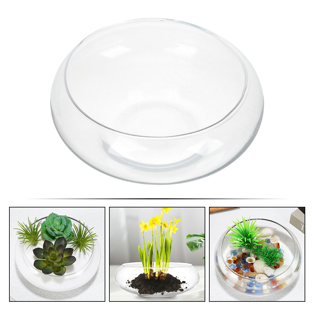 Wide Mouth Glass Vase Narcissu - огляд і ціна Hydroponic Grow Pod