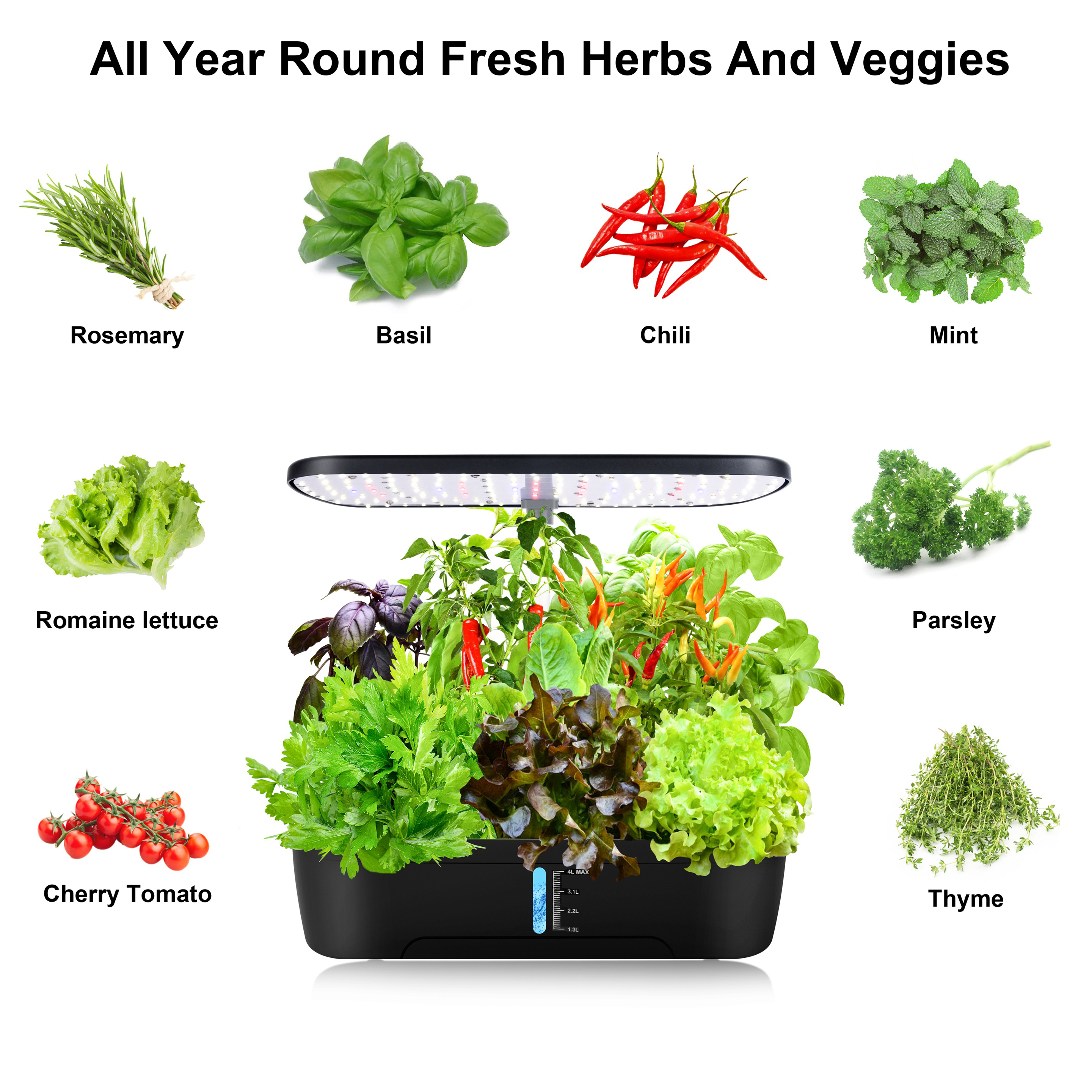 12 Pods Hydroponics Growing Sy - огляд і ціна Hydroponic Grow Pod