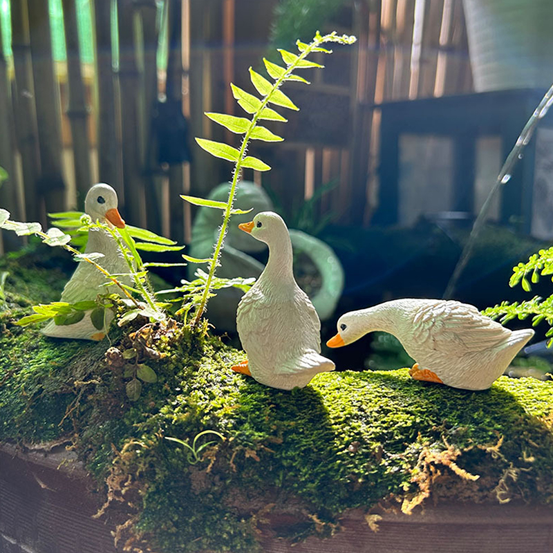 3pcs Cute White Duck Hydroponi - огляд і ціна Hydroponic Grow Pod