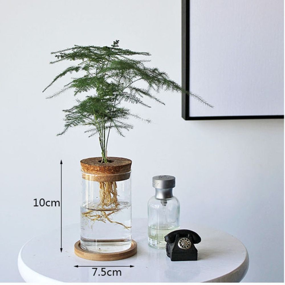 Creative Home Glass Vase Mini  - огляд і ціна Hydroponic Grow Pod