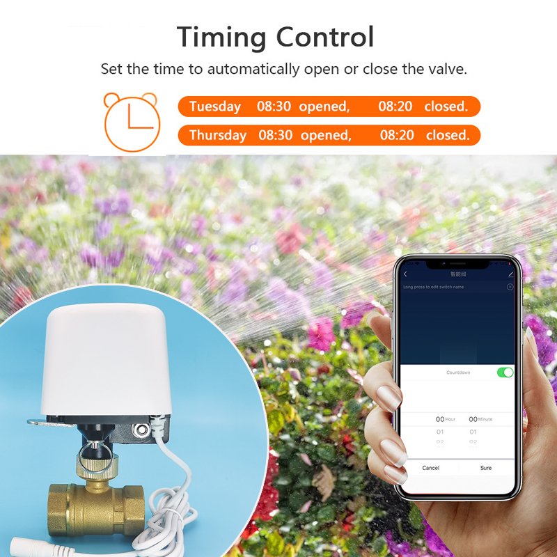 WIFI Smart Tuya Garden Waterin - огляд і ціна Smart Garden Sphagnum Moss