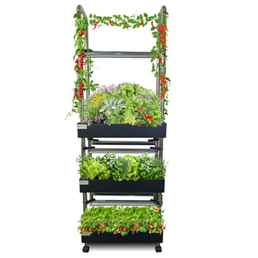 Indoor hydroponics growing sys - огляд і ціна Smart Garden System