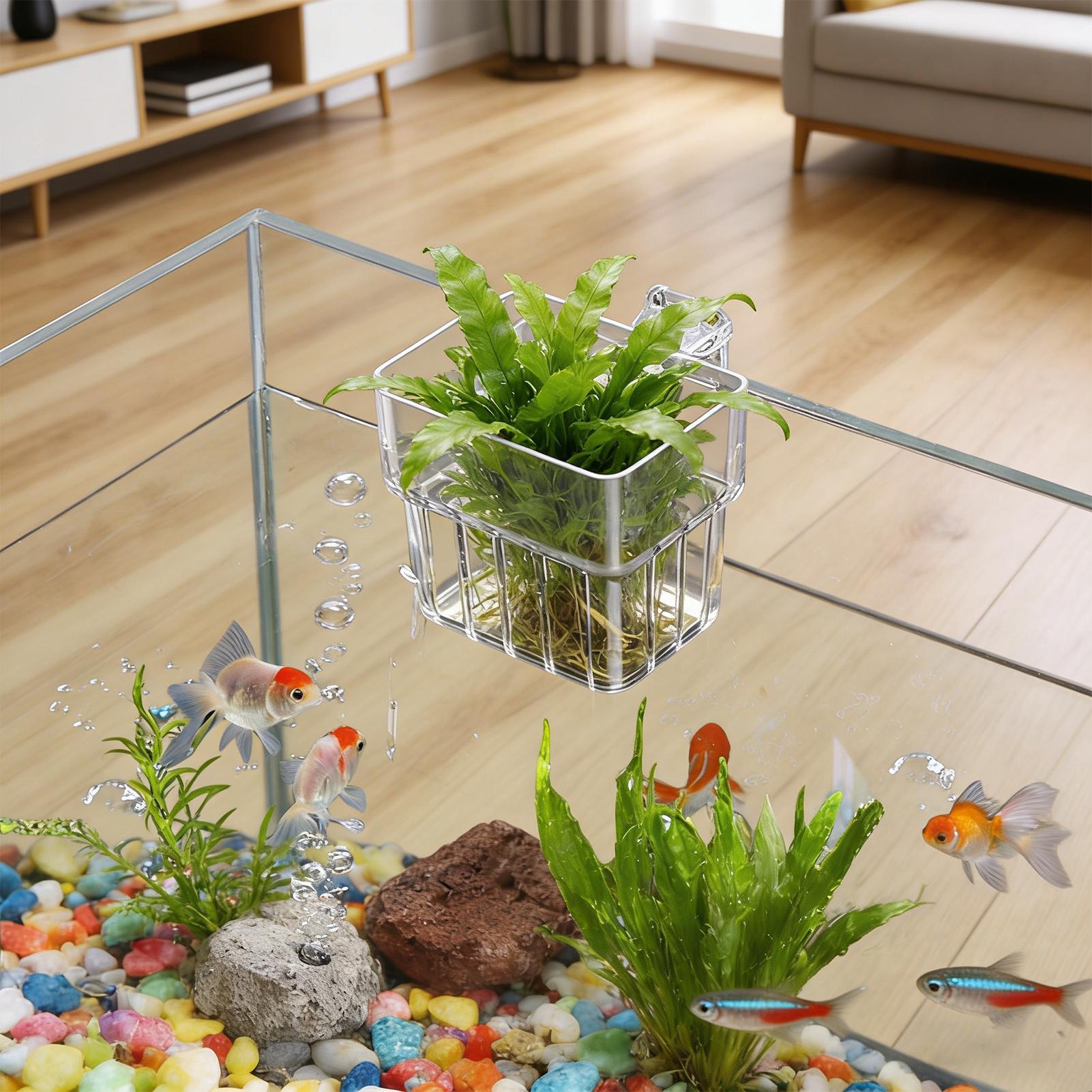 Aquarium Transparent Hanger Po - огляд і ціна Hydroponic Grow Pod
