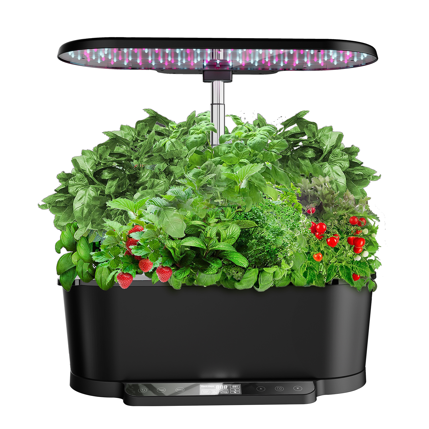 Smart Garden APP Control Indoo - огляд і ціна Smart Garden Design