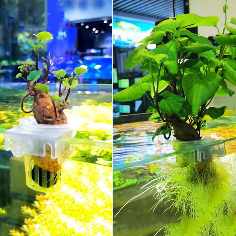 Aquarium Planting Basket Hydro - огляд і ціна Hydroponic Grow Pod